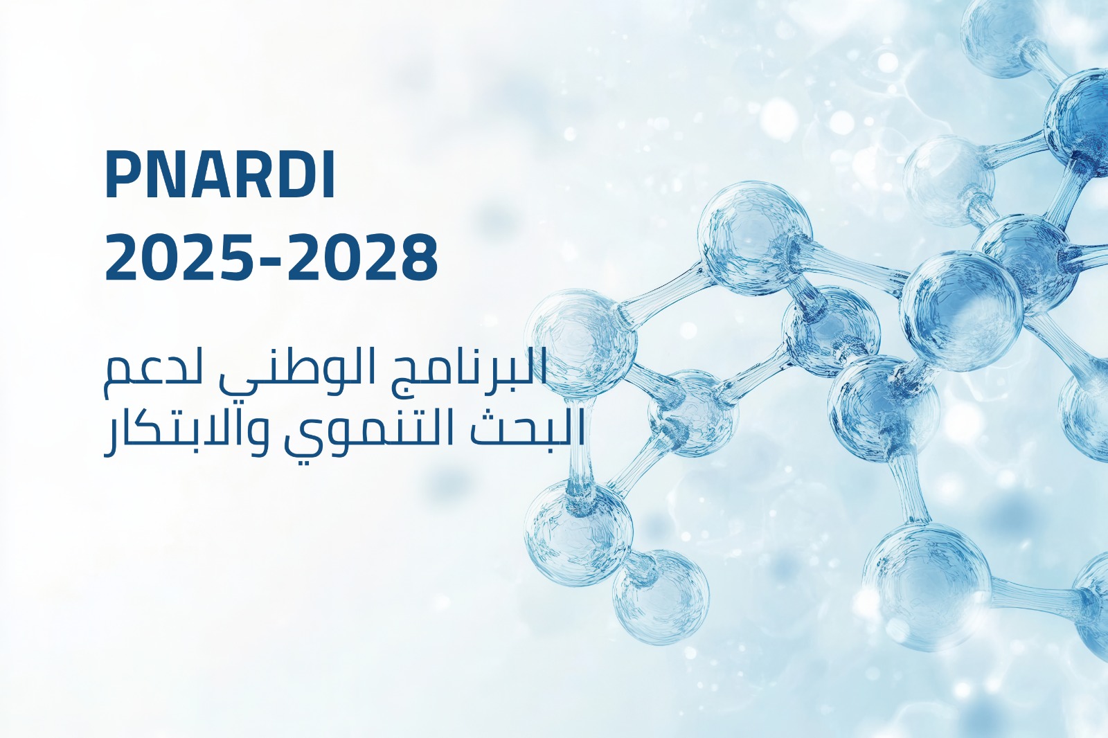 البرنامج الوطني لدعم البحث التنموي والابتكار 