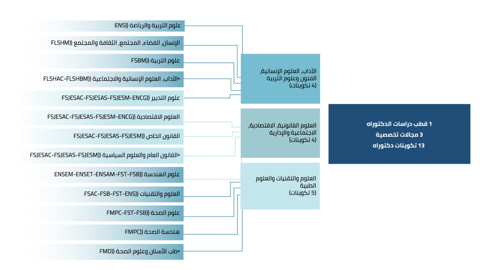 تكوينات الدكتوراه