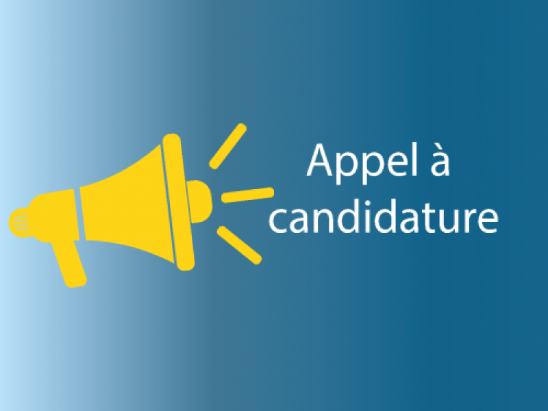 Appel à candidature pour le poste de Directeur de la CITT-UH2C Appel à candidature pour le poste de Directeur de la CITT-UH2C